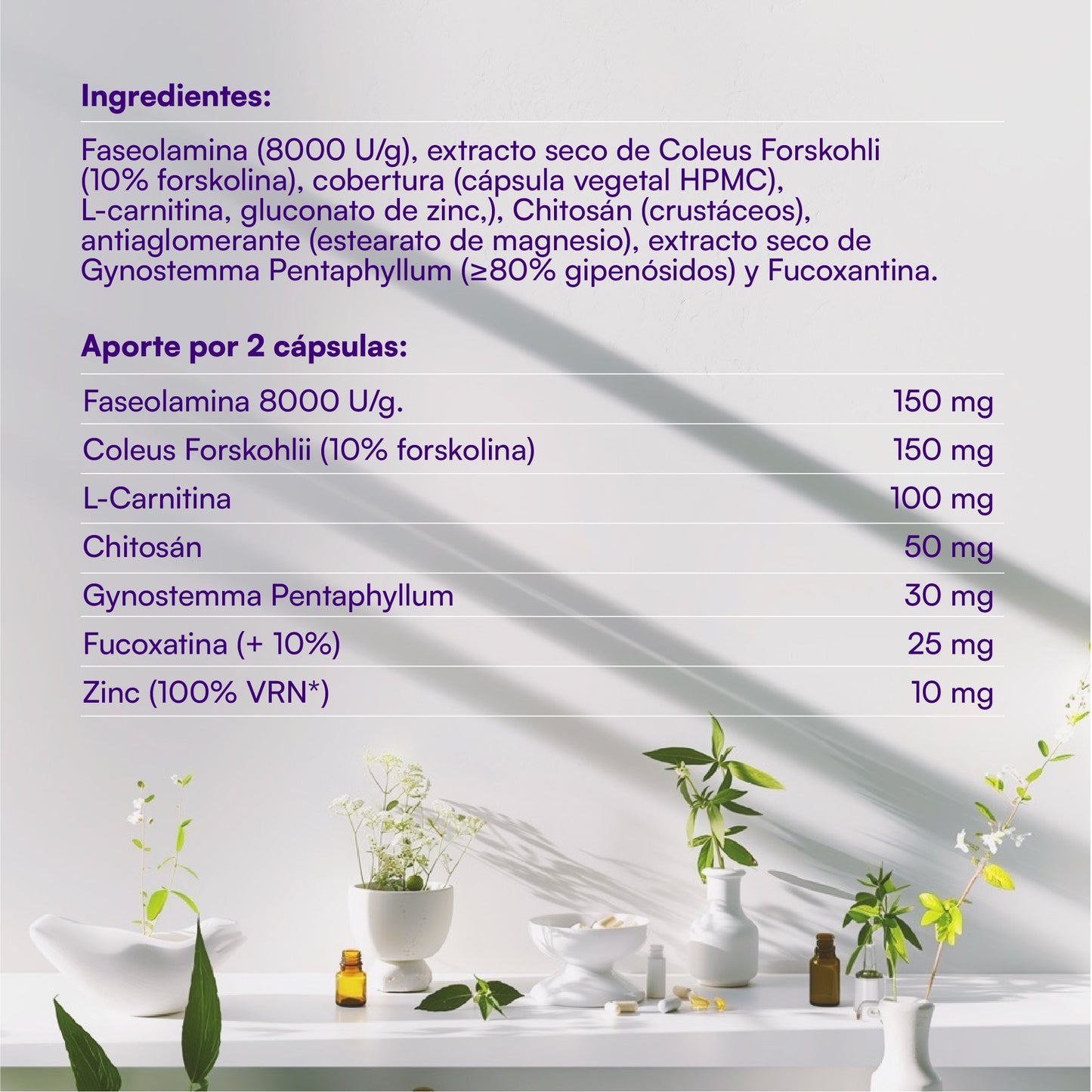 Hey You Block & Burn Suplemento bloqueador de carbohidratos, azúcares y grasas. Activador del metabolismo. Faseolamina, Chitosán, Fucoxantina, Coleus Forskohli, L-carnitina y Gynostemma Pentaphyllum. 60 cápsulas