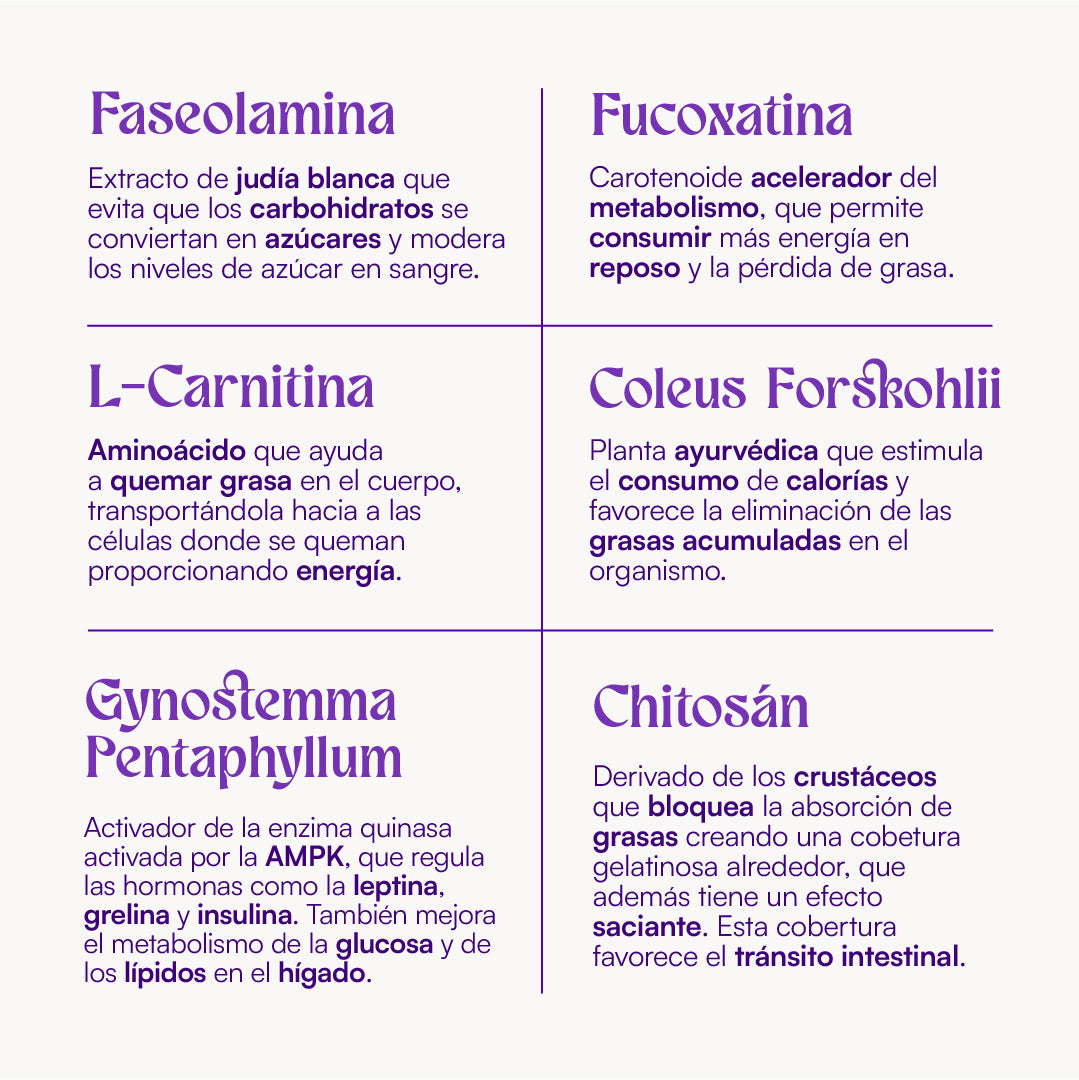 Hey You Block & Burn Suplemento bloqueador de carbohidratos, azúcares y grasas. Activador del metabolismo. Faseolamina, Chitosán, Fucoxantina, Coleus Forskohli, L-carnitina y Gynostemma Pentaphyllum. 60 cápsulas