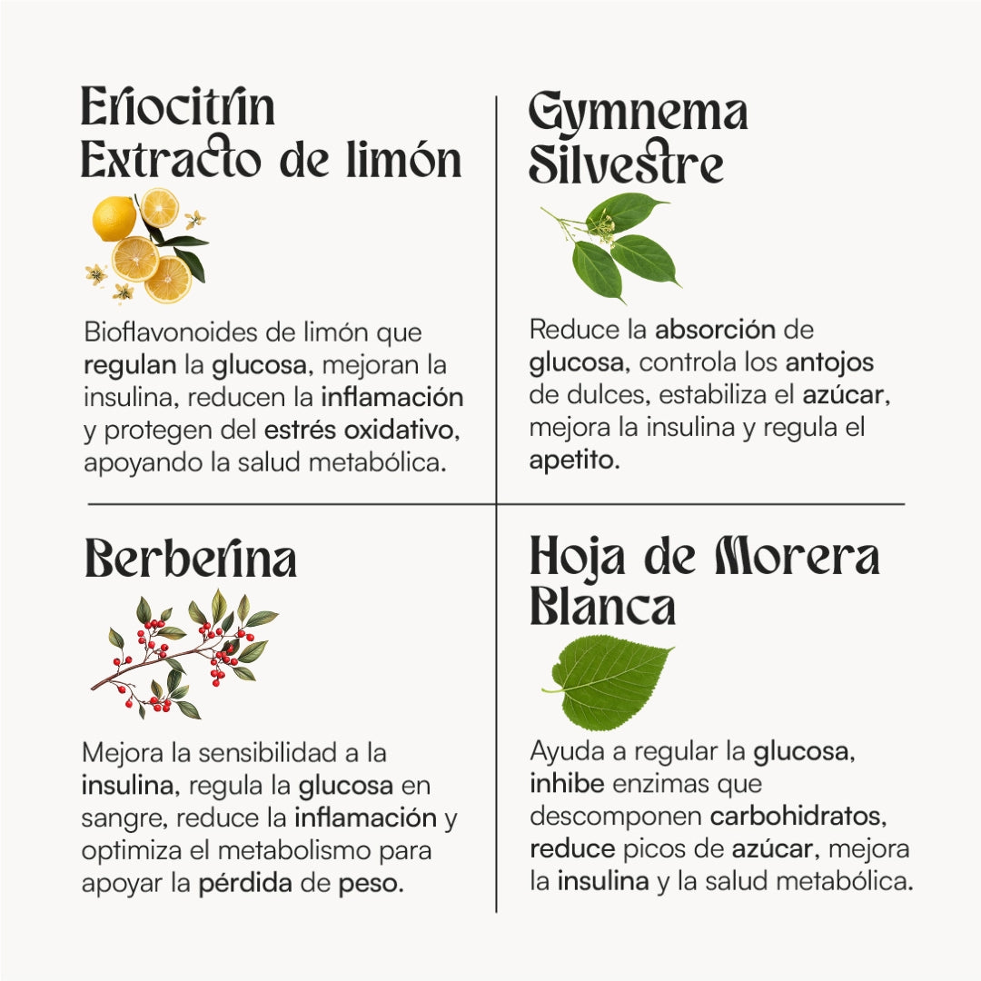 Hey You Antispike GLP-1 Suplemento para el control del Pico de Glucosa, Niveles de Azúcar, Antojos, control de peso, Hambre y Claridad Mental con Eriocitrina, Gymnema Silvestre, Hoja de Morera blanca y Berberina 60 cápsulas veganas