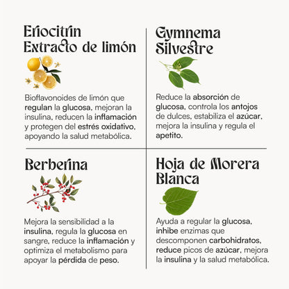 Hey You Antispike GLP-1 Suplemento para el control del Pico de Glucosa, Niveles de Azúcar, Antojos, control de peso, Hambre y Claridad Mental con Eriocitrina, Gymnema Silvestre, Hoja de Morera blanca y Berberina 60 cápsulas veganas